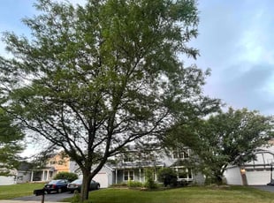 Bobby R.'s lawn care service result