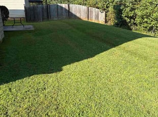 Ricky T.'s lawn care services service result