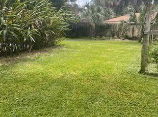 Cindy B.'s grass cutting service result