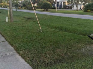 Katherine A.'s lawn care services service result