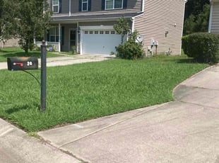 Susan N.'s lawn maintenance service result
