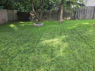 Linda W.'s turf care service result