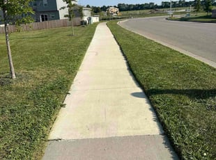 Jessica D.'s lawn care service result