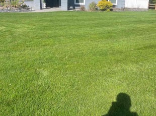 Monique C.'s residential landscaping service result