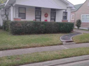 Twanna A.'s Bush Trimming service result