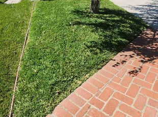 Eric U.'s grass cutting service result