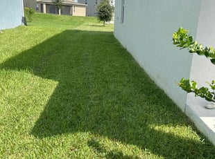 Marie C.'s lawn maintenance service result