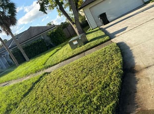Nilani S.'s turf care service result