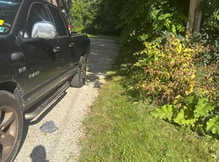 Rena M.'s lawn care service result