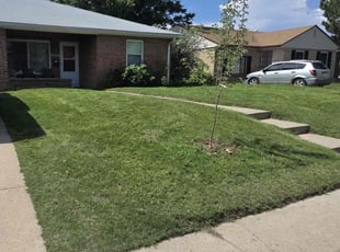 Abigail G.'s lawn maintenance service result