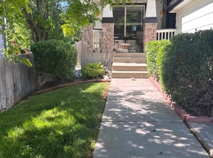 Del C.'s Bush Trimming service result