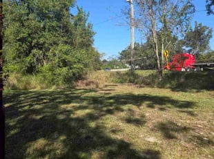 Sara C.'s turf care service result