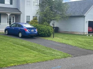 Terrence T.'s grass cutting service result