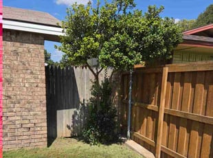 Jason P.'s turf care service result