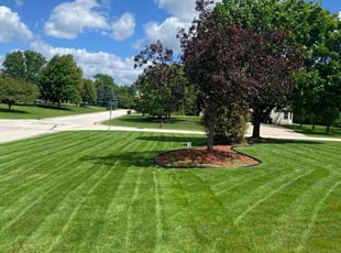 John S.'s grass cutting service result
