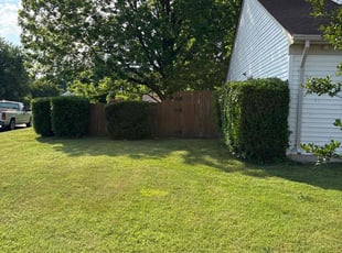 Melissa V.'s Bush Trimming service result