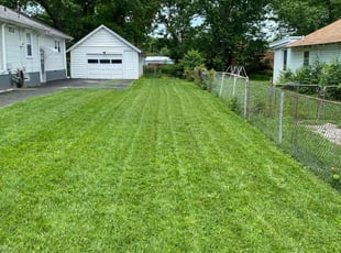 Laquite Smith E.'s turf maintenance service result