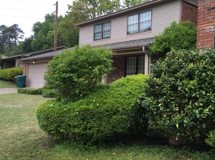 Mark S.'s grass maintenance service result