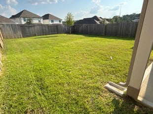 Frankie G.'s turf care service result