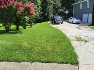 Doreen R.'s turf maintenance service result