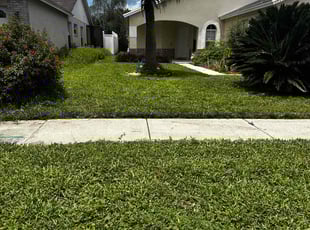 Jamie R.'s grass cutting service result