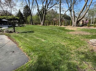 Wanda F.'s turf maintenance service result