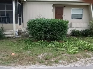 Erica S.'s Bush Trimming service result