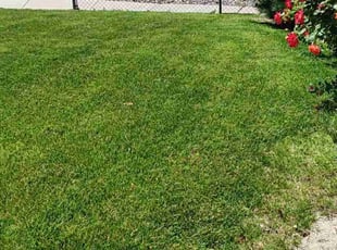 Jeannine W.'s lawn maintenance service result