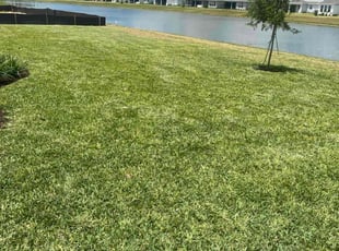 Ty N.'s landscape maintenance service result