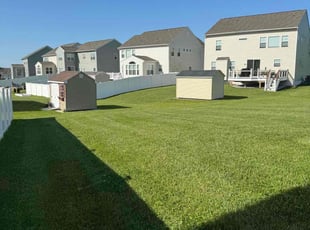 Donna T.'s turf care service result