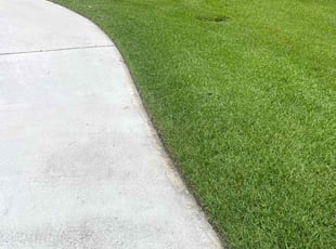 Erin C.'s turf maintenance service result