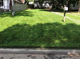 Torey S.'s lawn care service result