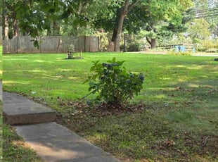 Mary W.'s lawn care service result