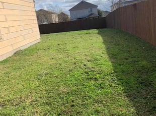 Tanya S.'s turf care service result
