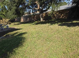 Andrew B.'s lawn service service result