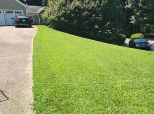 C J.'s grass cutting service result