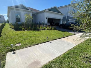 Denise M.'s grass maintenance service result