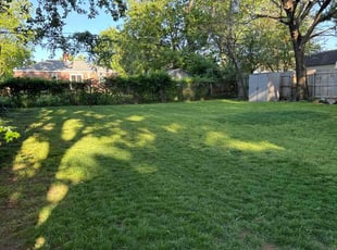 Eric M.'s lawn care service result