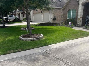 Michael C.'s lawn maintenance service result