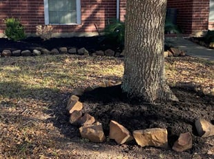 Carole M.'s Mulching service result