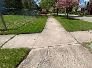 Lawrence M.'s grass maintenance service result