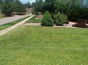 Kim P.'s lawn care services service result