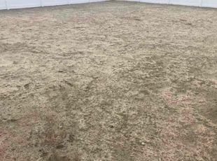 Phyllis M.'s Cleanup service result