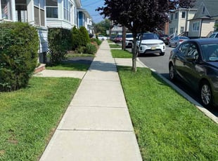 Terry L.'s grass maintenance service result