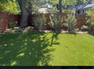 Dave C.'s Leaf Removal service result