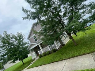 Michael G.'s lawn care services service result