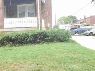 Obie D.'s Bush Trimming service result