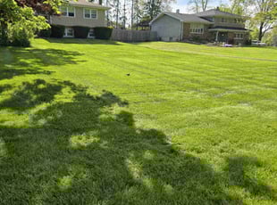 Jaedin M.'s lawn service service result