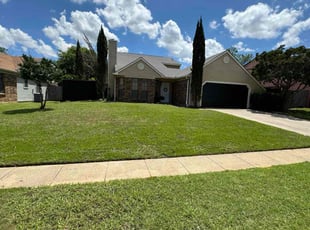 Dashanie C.'s lawn service service result