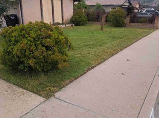 Greg W.'s grass cutting service result
